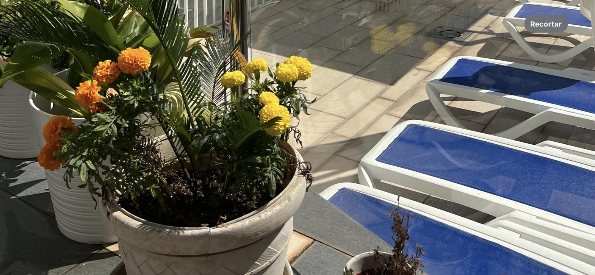 Ancla Real Apartamentos Loft El Puerto de Santa Maria Bagian luar foto