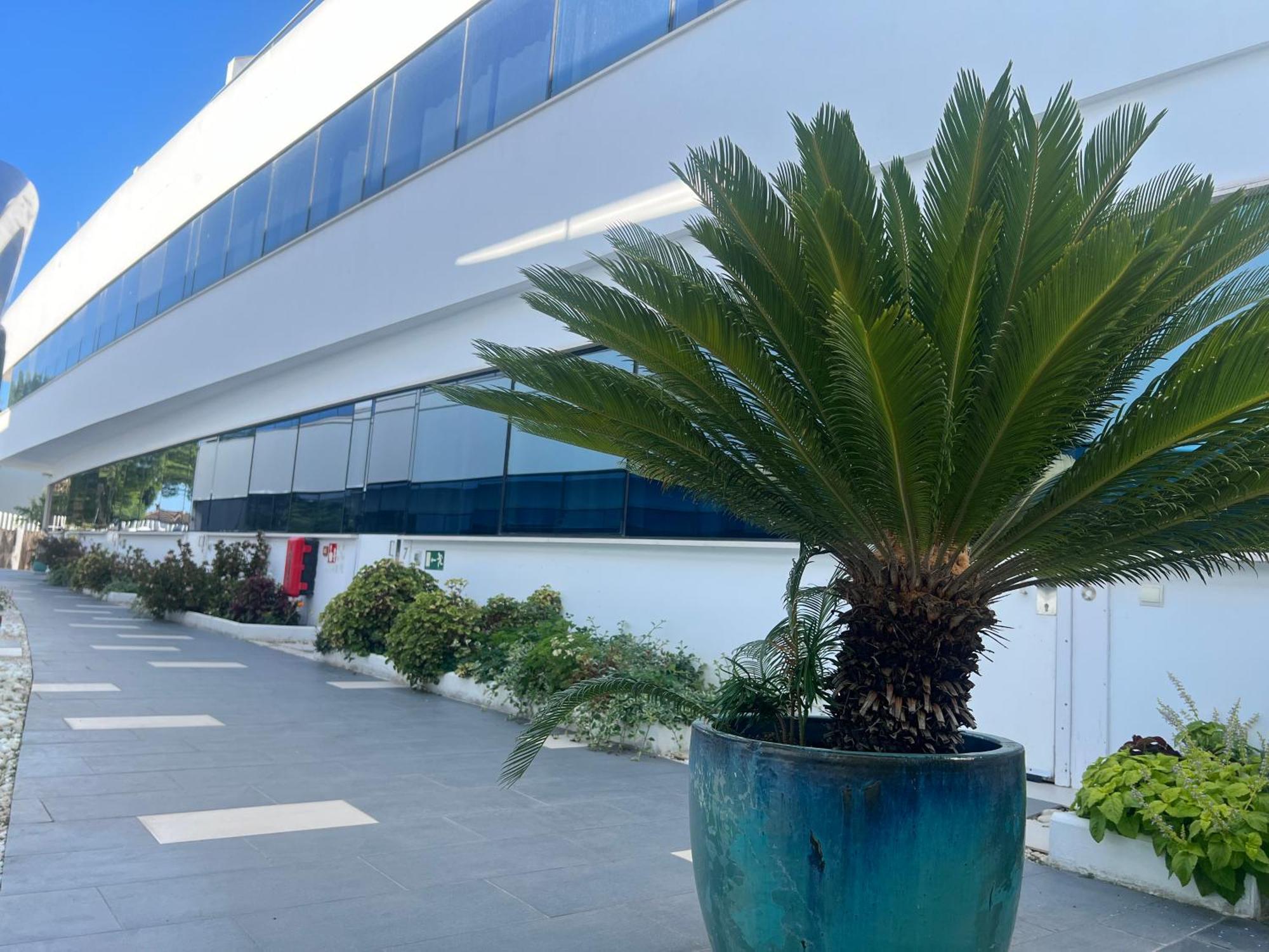 Ancla Real Apartamentos Loft El Puerto de Santa Maria Bagian luar foto